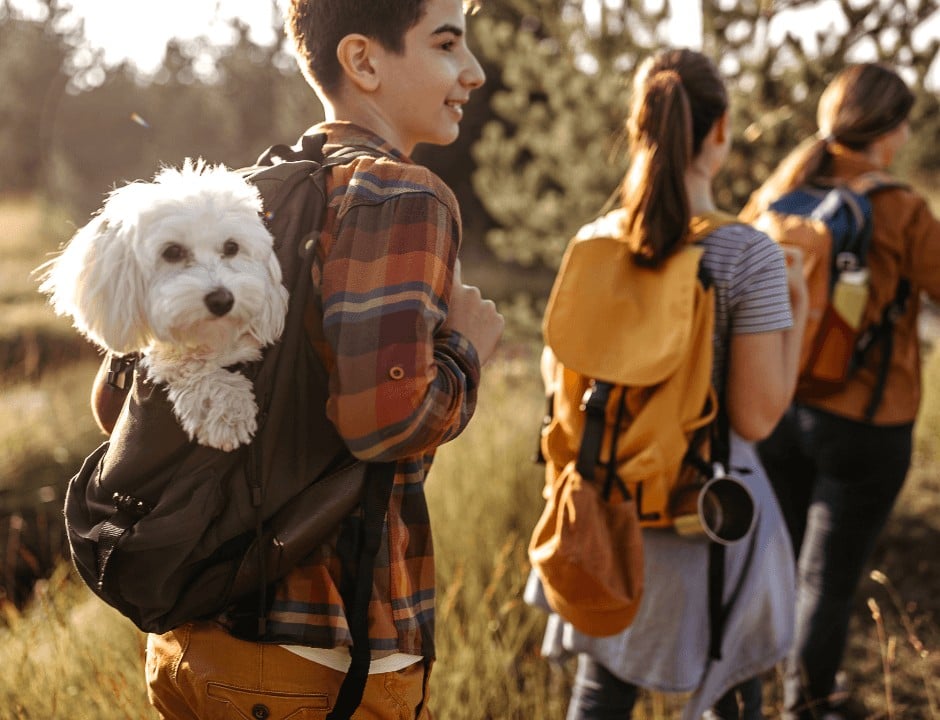 A boy carrying a white on his backpack - How to Plan a Road Trips With Kids