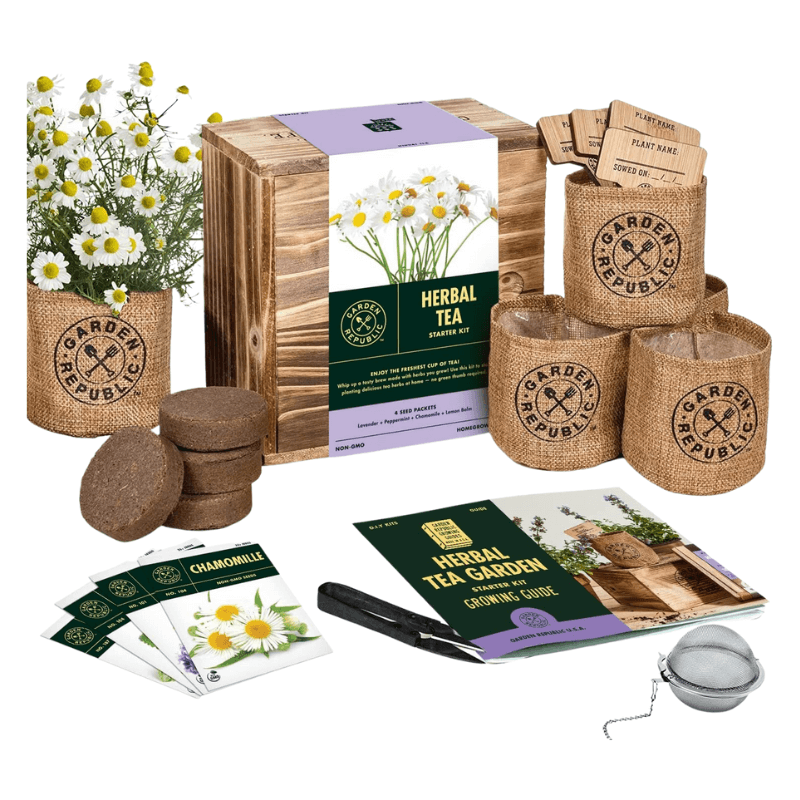 Indoor Herb Garden Seed Starter Kit for Tea