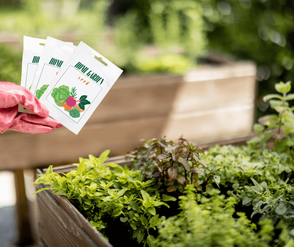 A person holding two bags of seeds for her home garden