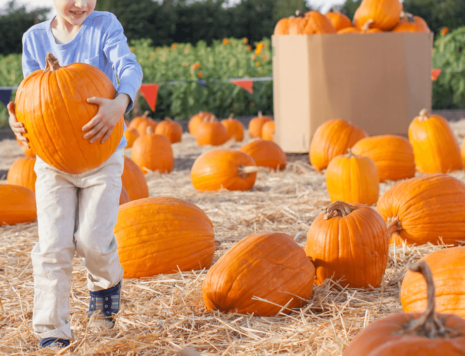 A boy holding a pumpkin while standing at a pumpkin patch