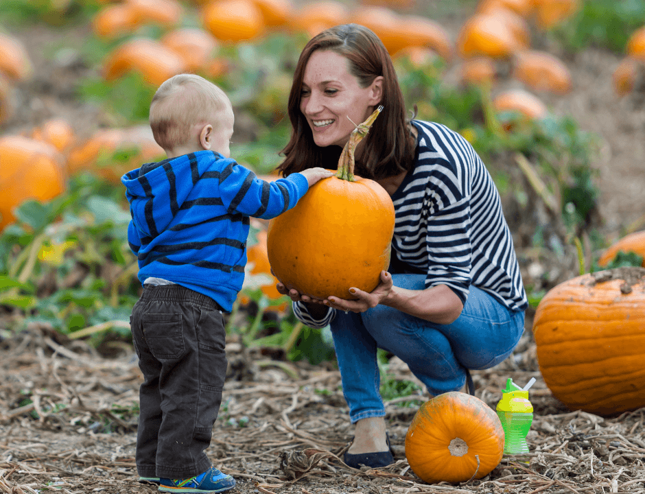 A mom handing her young son a pumpkin - Find Local Pumpkin Patches