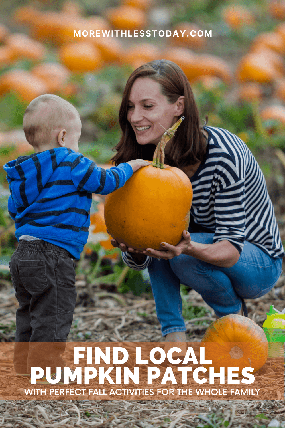 Find Local Pumpkin Patches - PIN