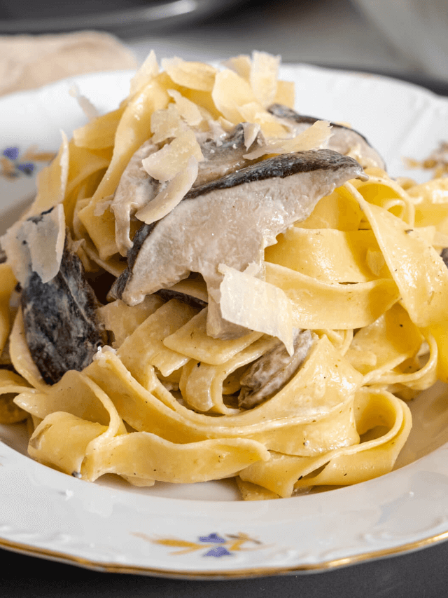 Creamy Mushroom Alfredo Pasta Recipe - More With Less Today