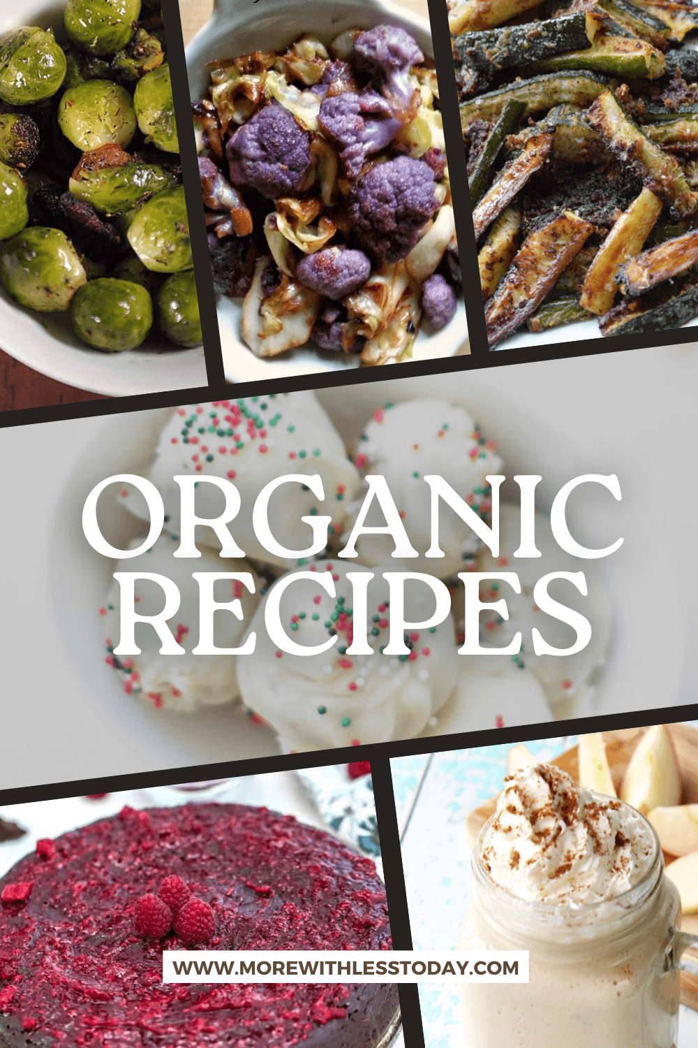 Organic Recipes - PIN