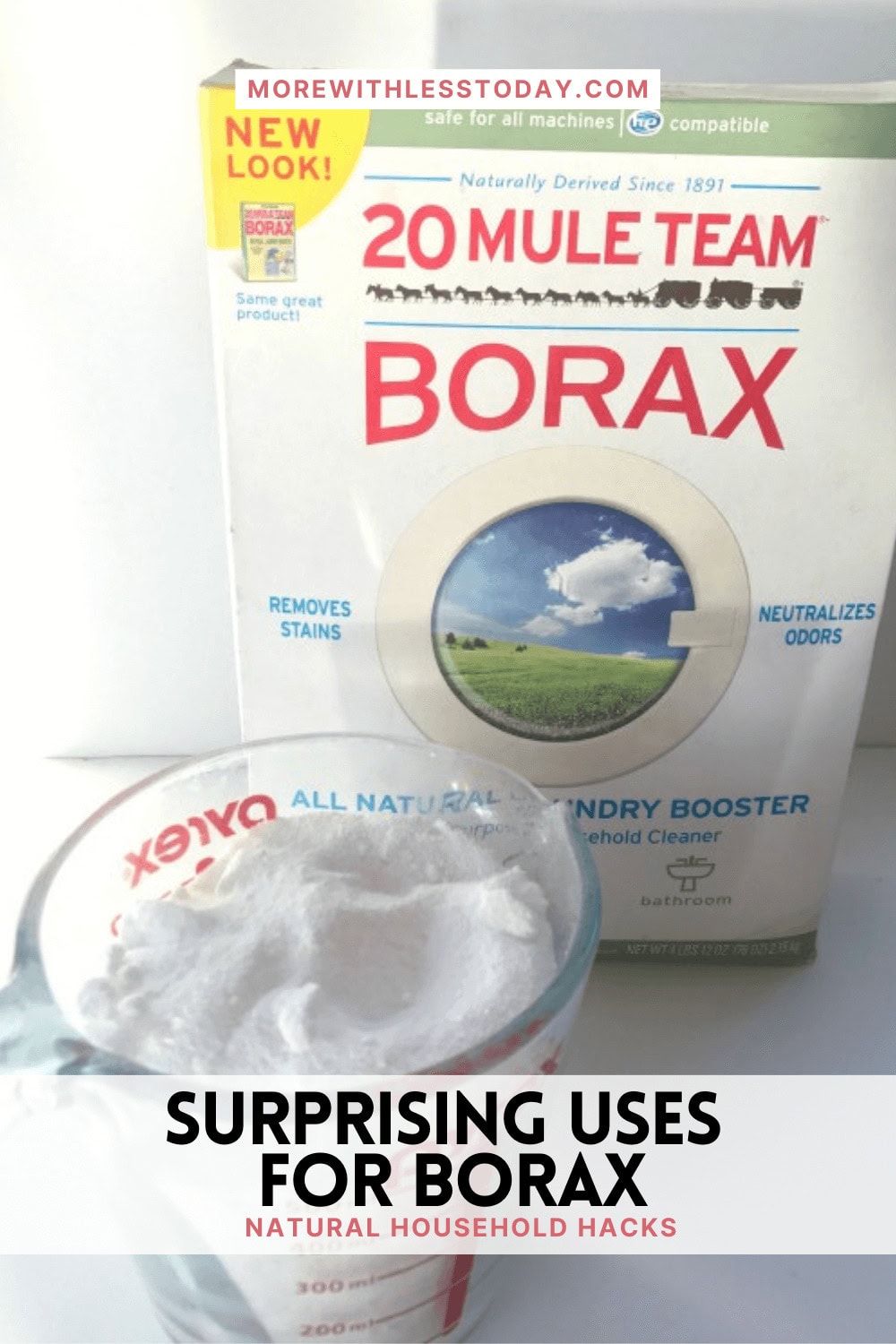 Surprising Uses for Borax - PIN