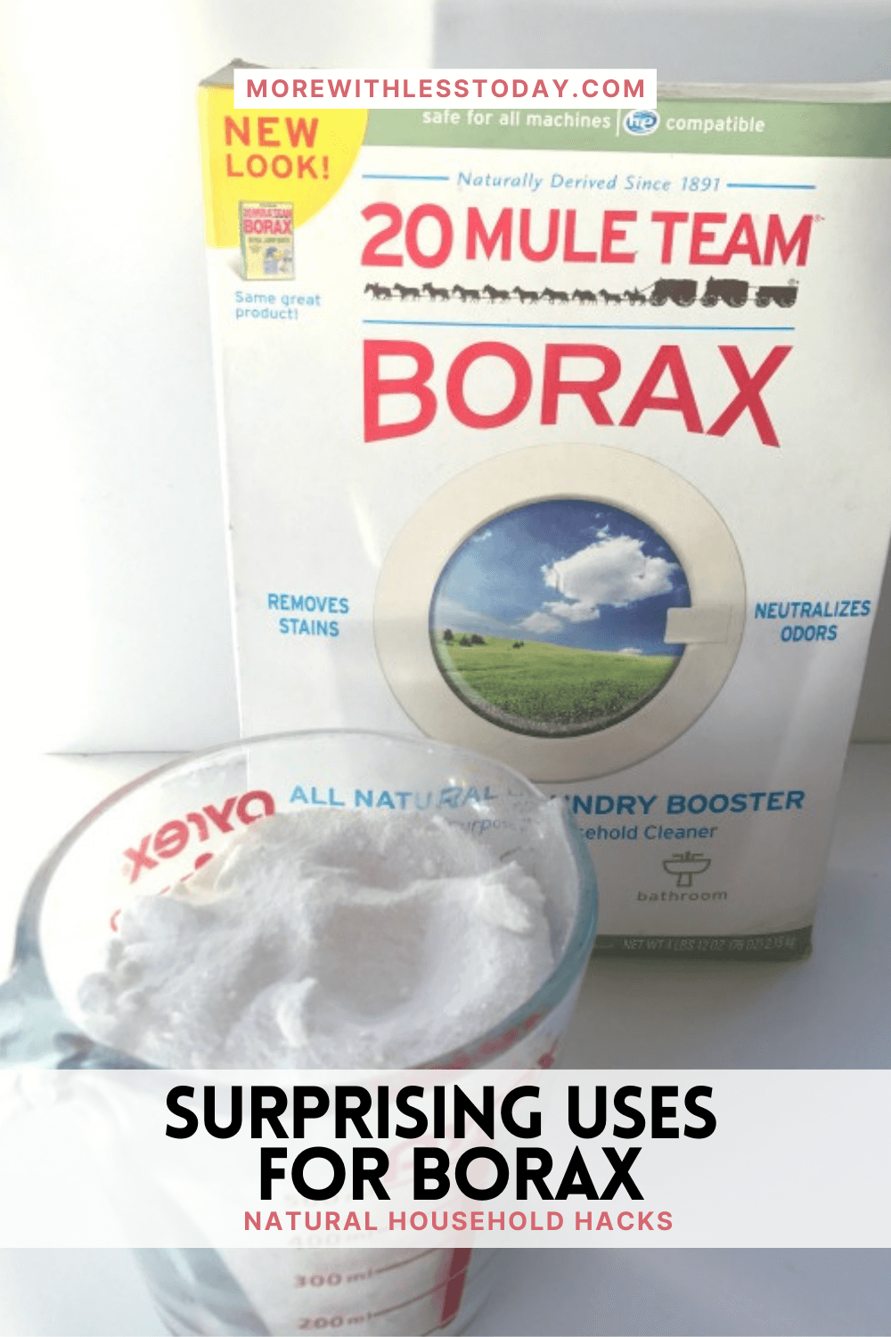 Surprising Uses for Borax - PIN