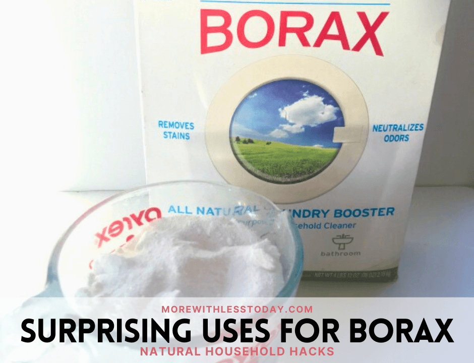 Surprising Uses for Borax