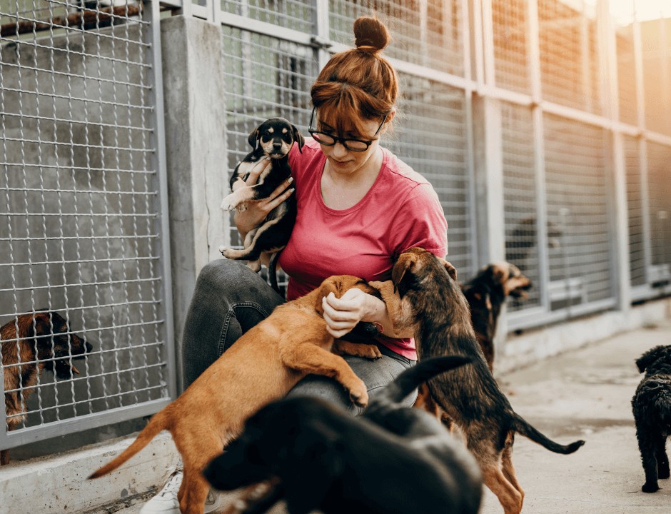 Woman petting puppies at the shelted - 25 Small Ways to Pay It Forward