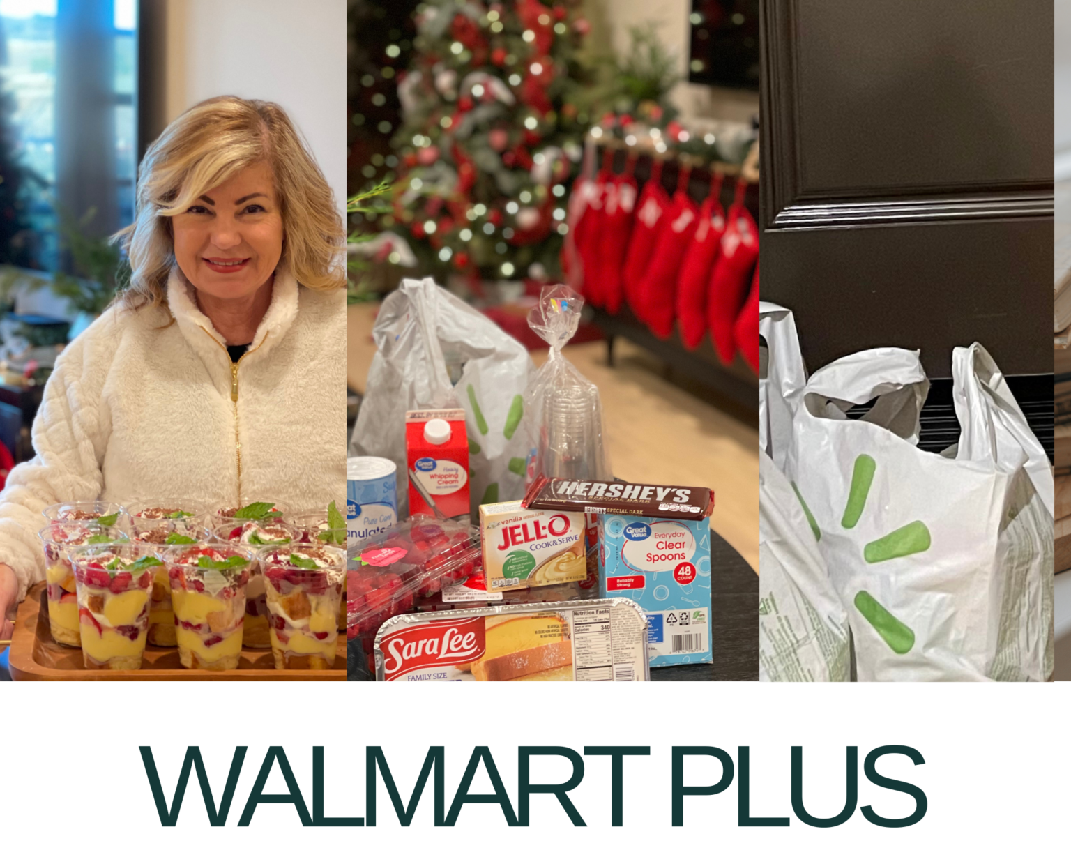 How Does Walmart Plus Work and Why You should Try It!