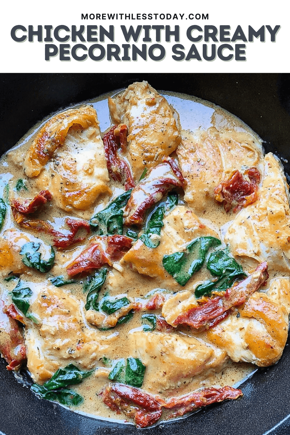 Chicken with Creamy Pecorino Sauce - PIN