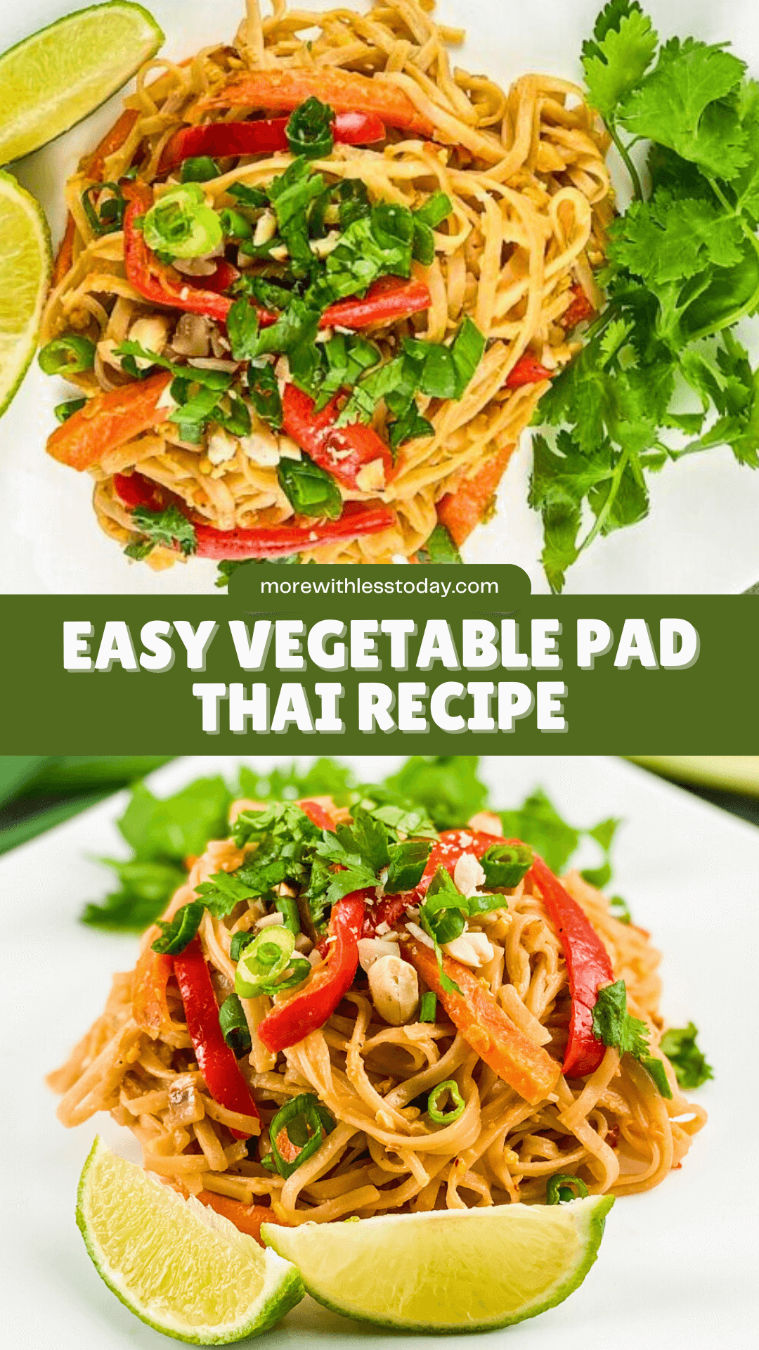 Easy Vegetable Pad Thai Recipe - PIN