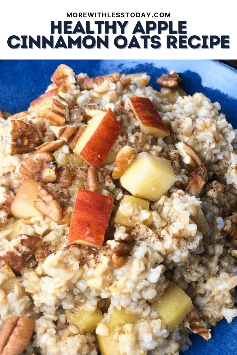 Healthy Apple Cinnamon Oats - PIN