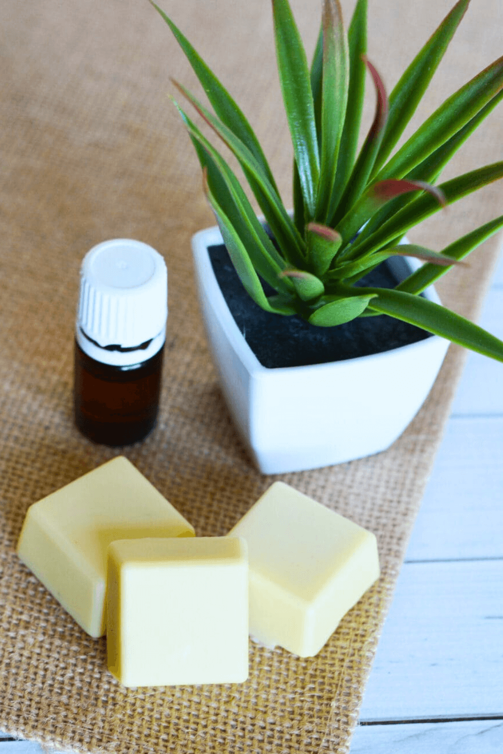 Homemade Lotion Bars beside a small bottle of essential oil