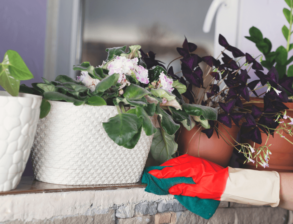 A person wearing gloves while cleaning up plant pots