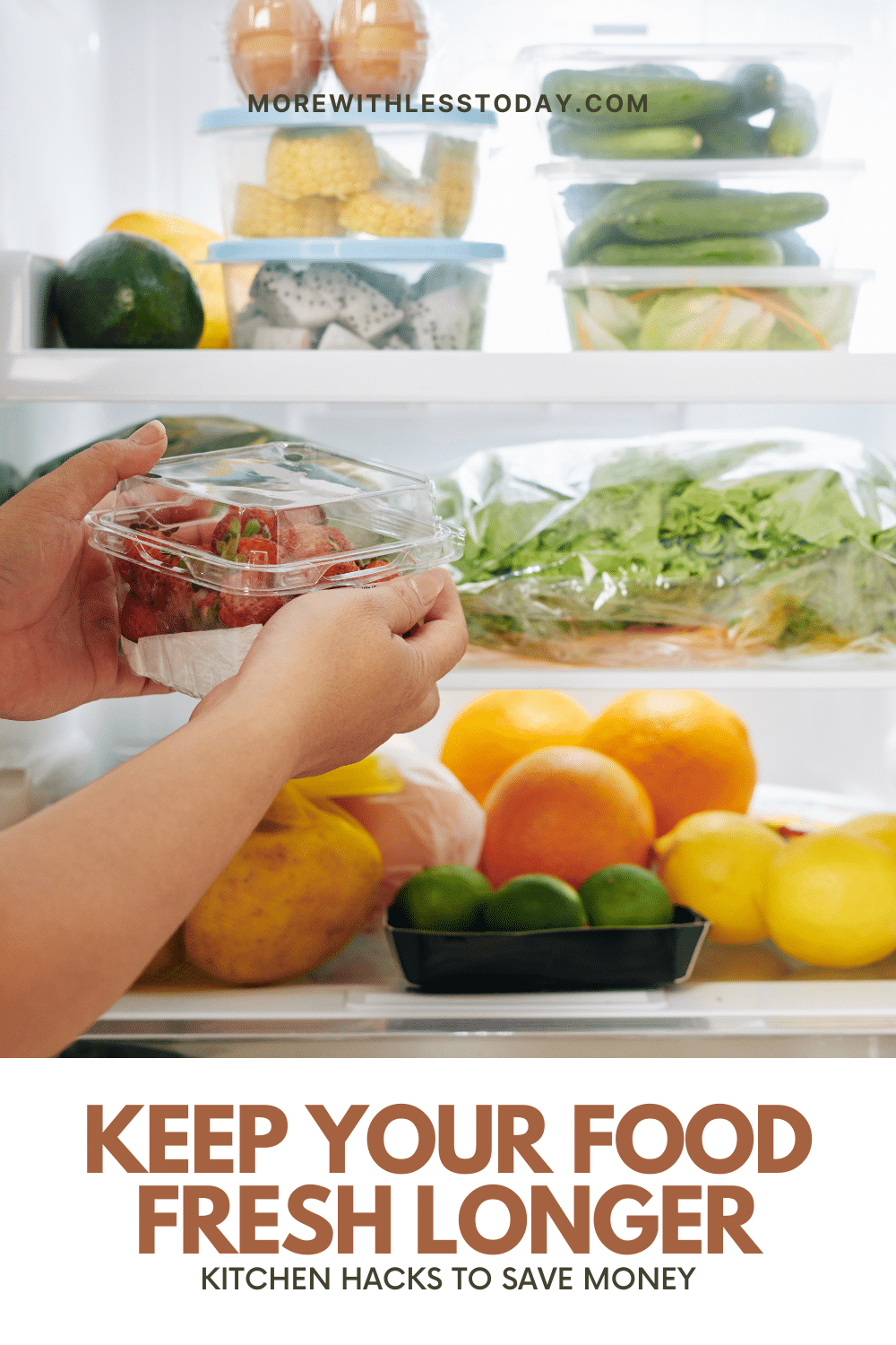Keep Your Food Fresh Longer - PIN