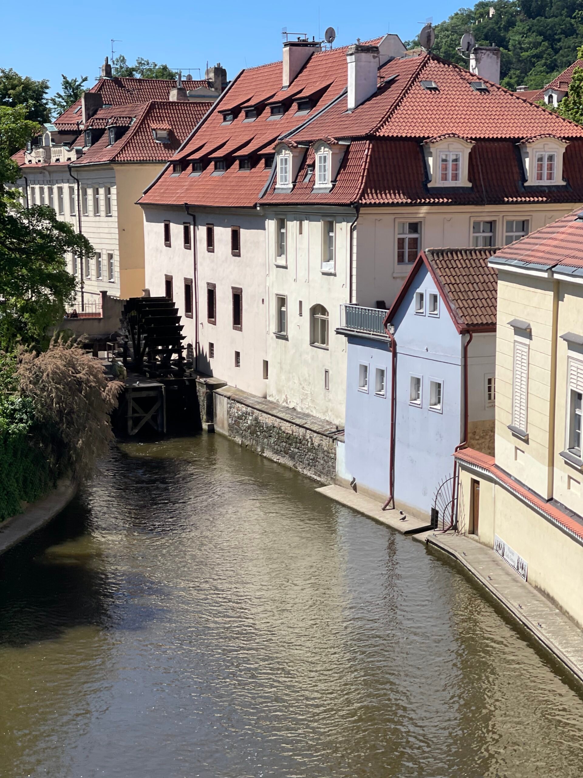 View from The Charles Bridge 