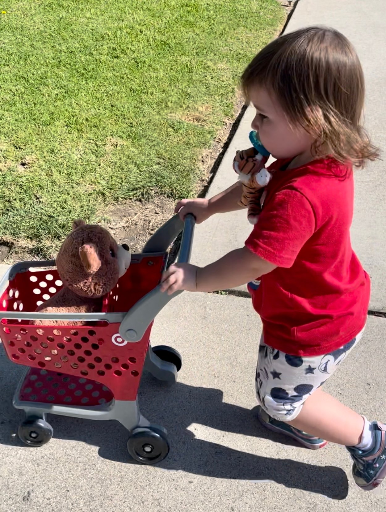 My granddaugheter pushing her teddy bear in a small Target cart