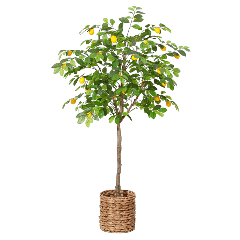 Dr. Planzen - Fake Lemon Tree