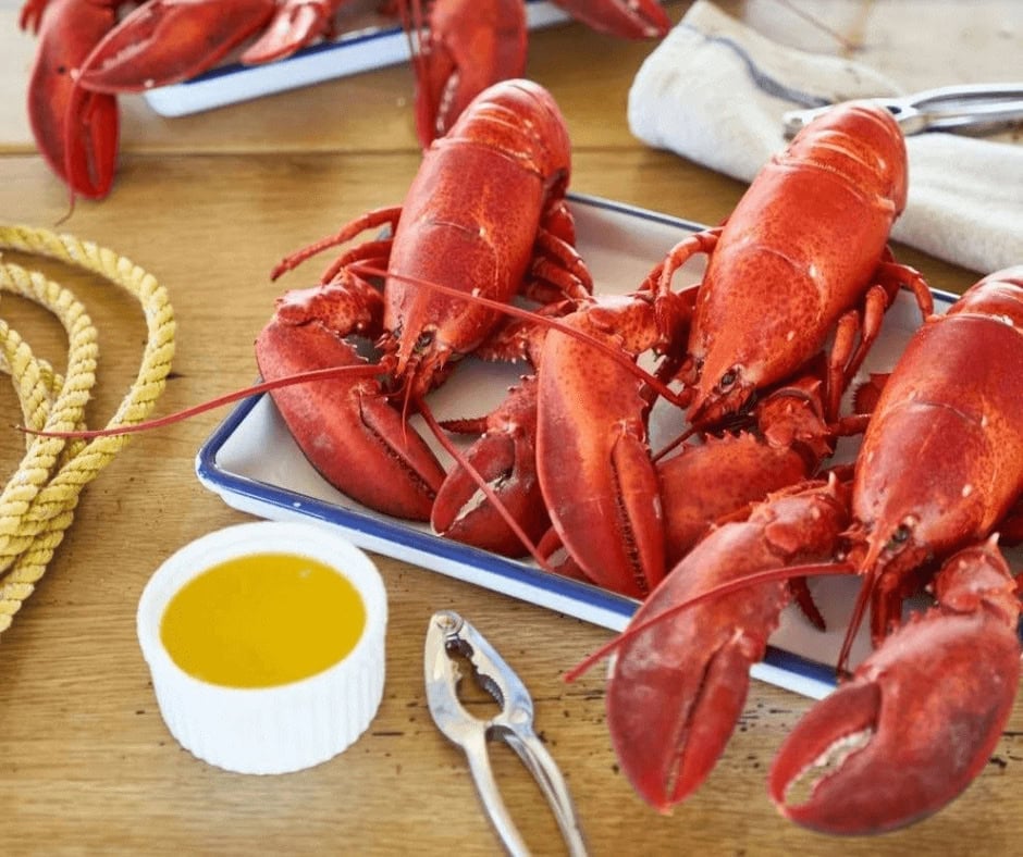 Live Maine Lobster from Luke&rsquo;s Lobsters