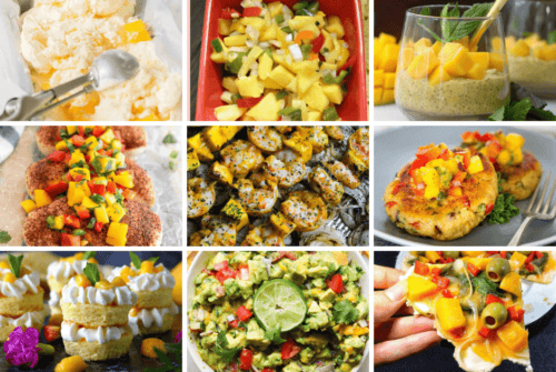 Delicious Mango Recipes for Mango Lovers