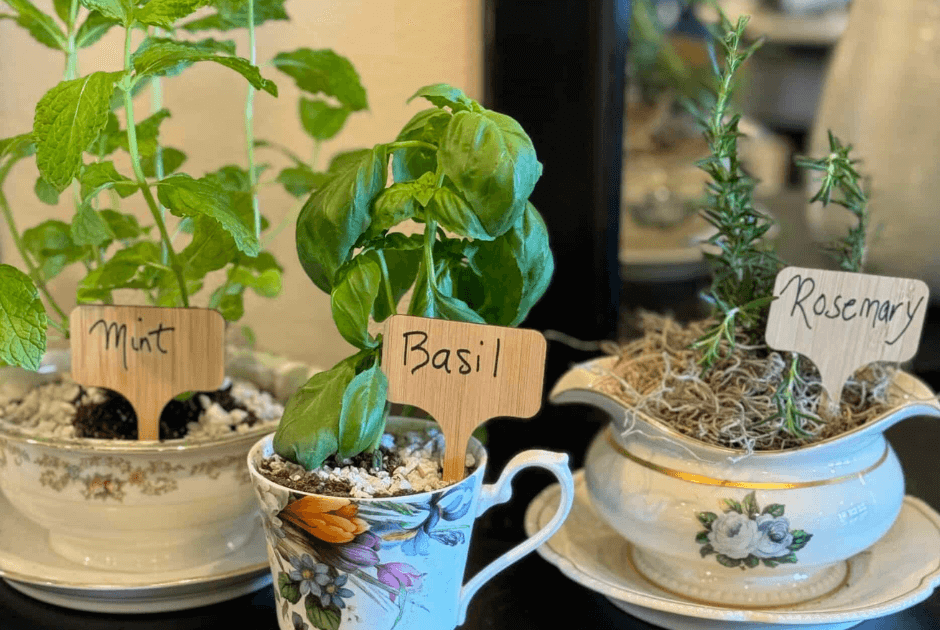 DIY Herb Garden Gift for Mother's Day