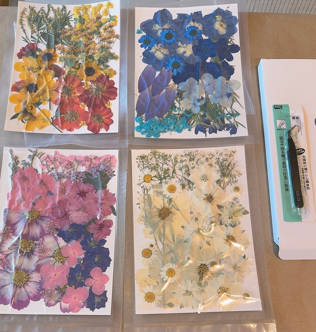 preserved flowers used for crafting