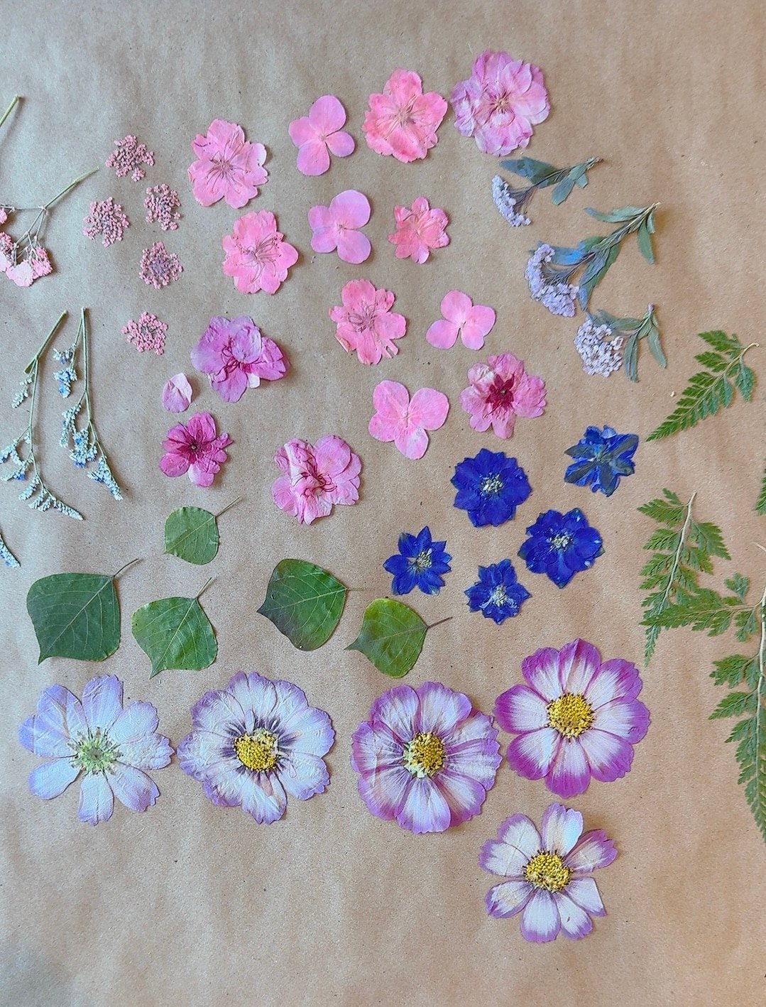 Pressed Flower Bookmarks DIY Craft &#8211; Inexpensive Lovely Gift Idea