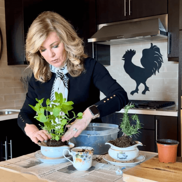 Lori arranging her herbs in its thrifted containers