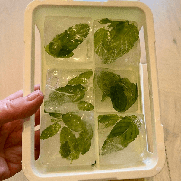 Lori holding a tray of frozen mint leaves