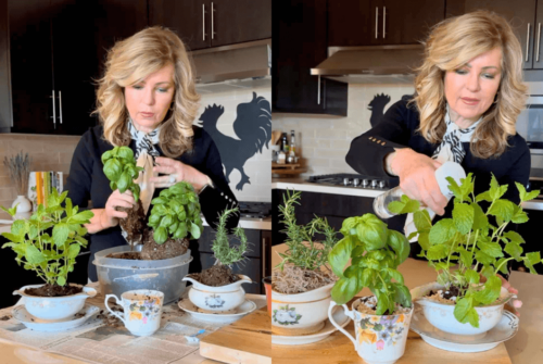 Lori making her DIY Herb Garden Gift for Mother's Day