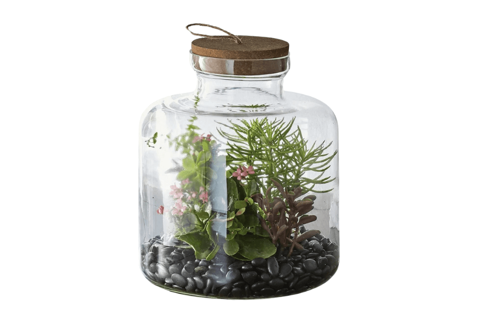Medium Clear Glass Terrarium - Thoughtful Presents From Walmart