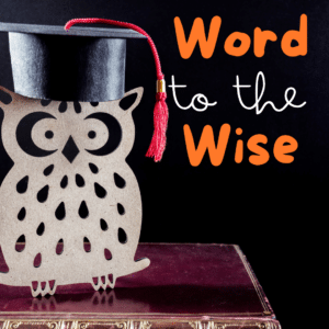 wise owl word to the wise graphic