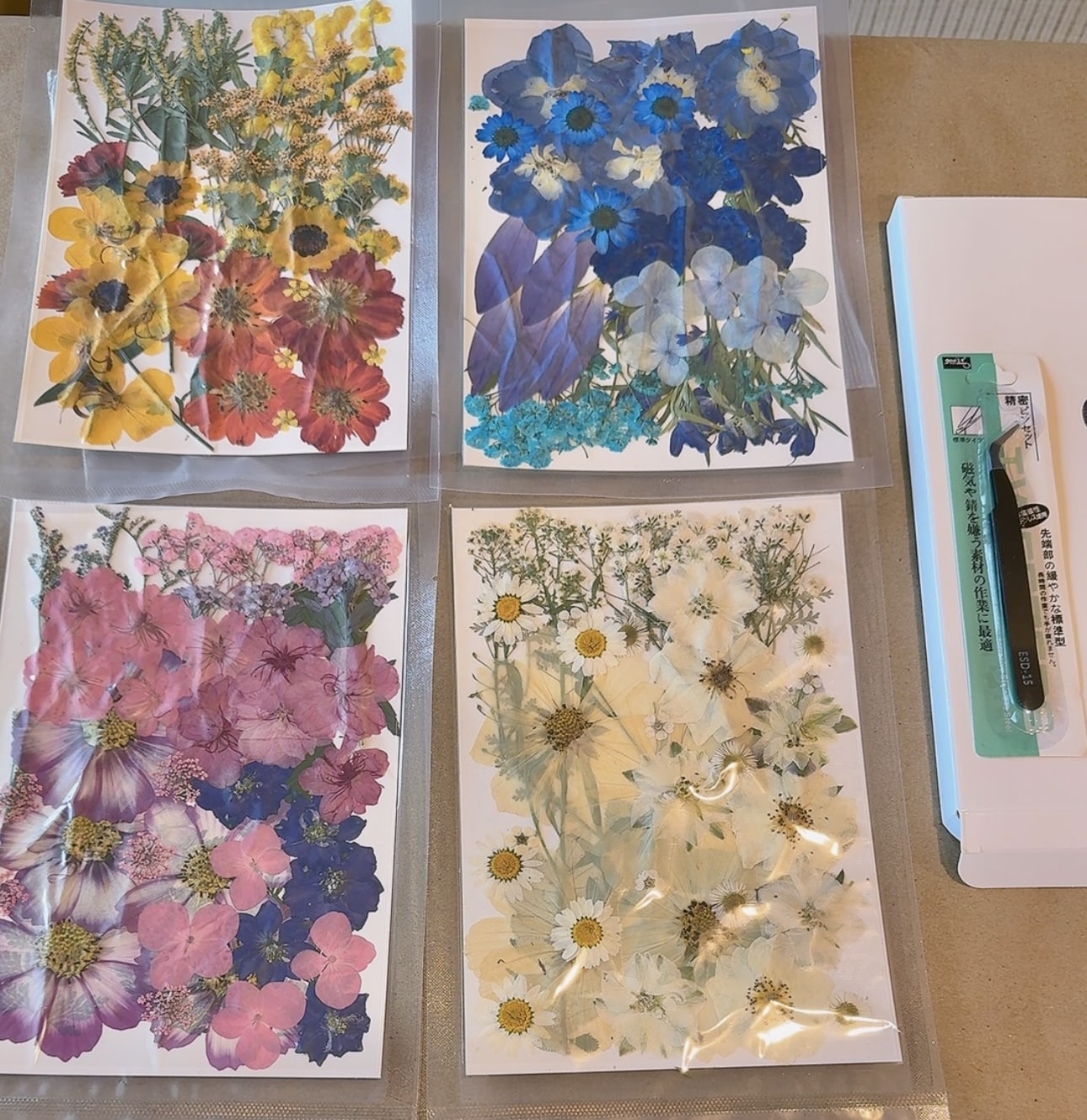 preserved flowers I ordered online