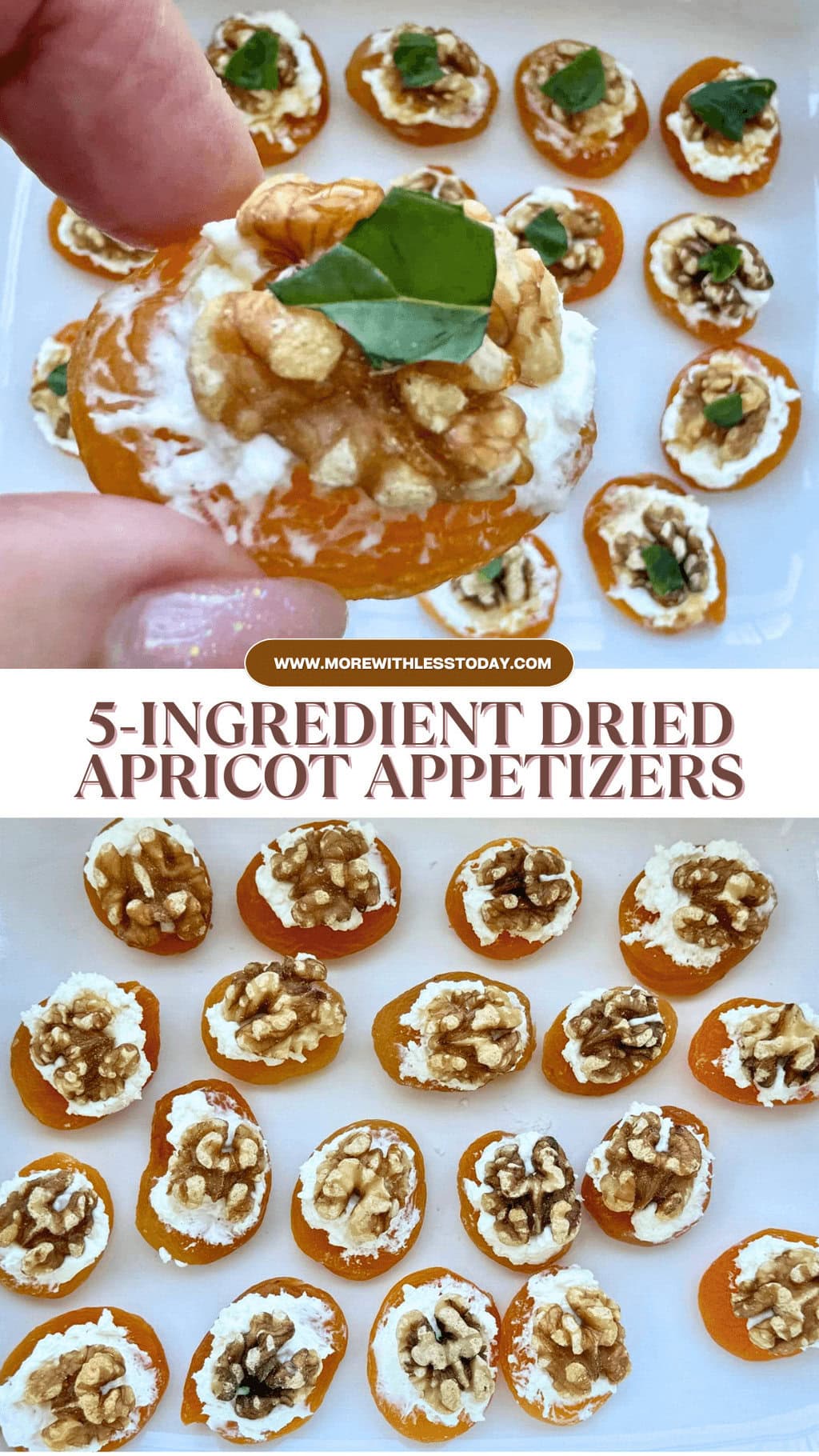 Dried Apricot Appetizers &#8211; Easy 1-Bite Party Food!
