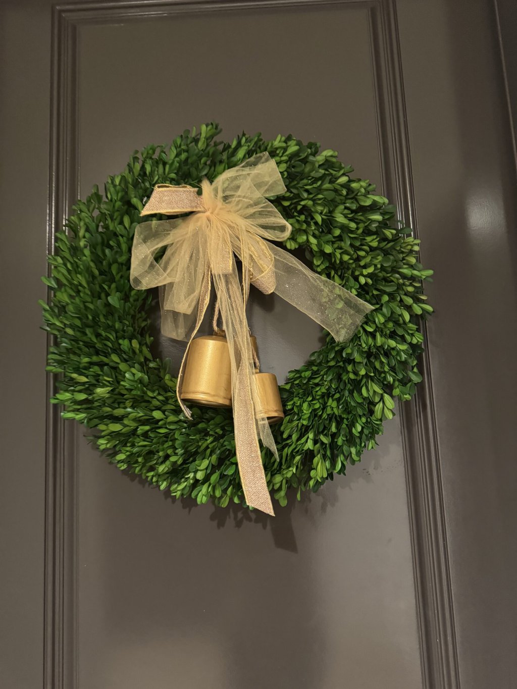 Target preserved boxwood wreath