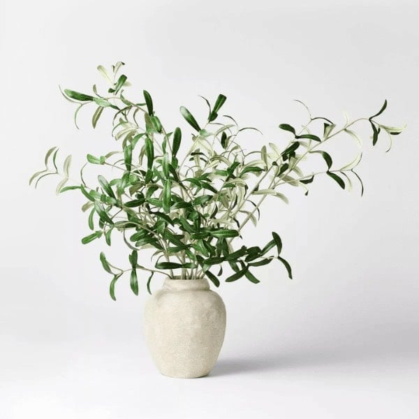 Olive Leaf Potted Arrangement