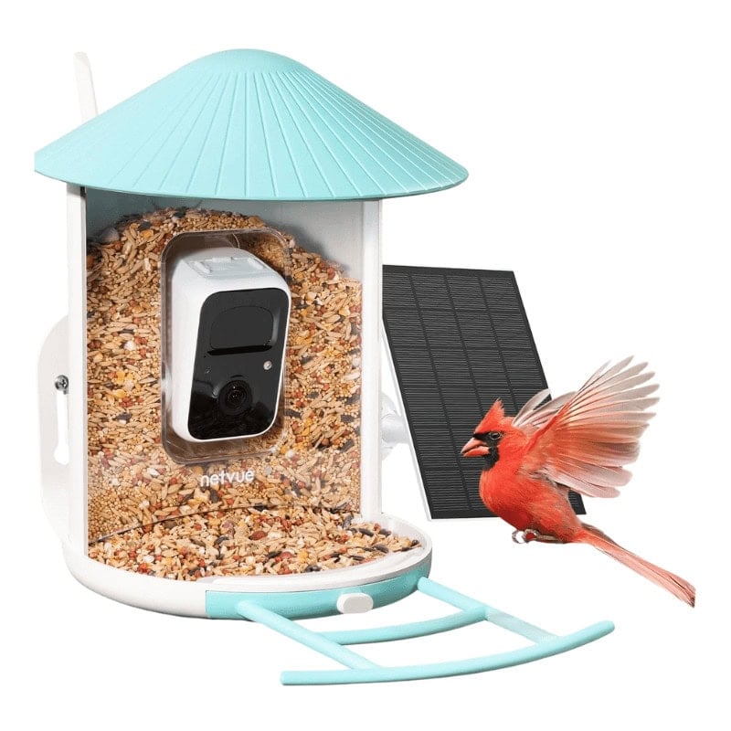 Bird Feeder with Smart Camera with Solar Panel