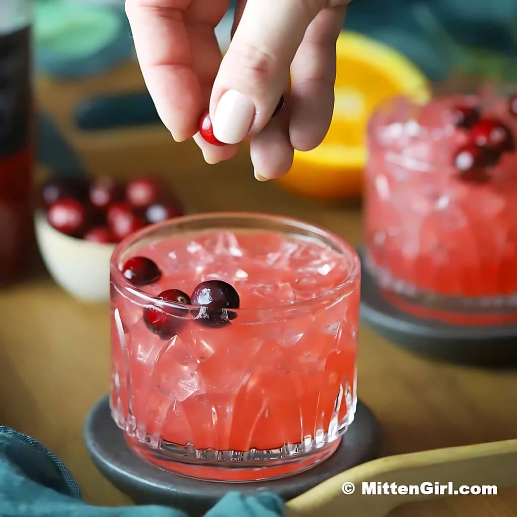 Fizzy Cranberry Orange Mocktail Non Alcoholic