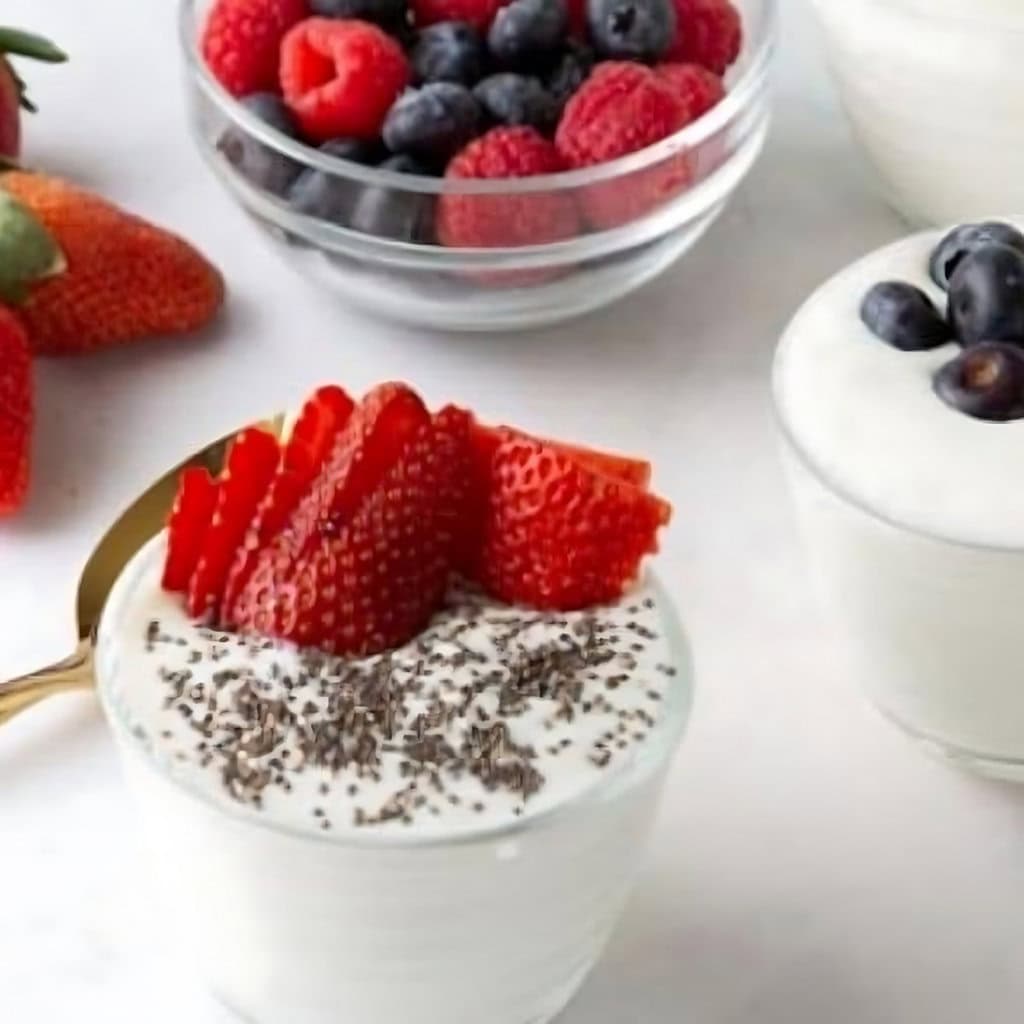 Instant Pot Greek Yogurt Recipe
