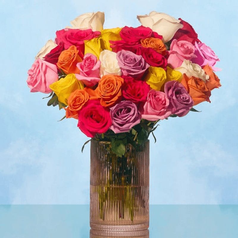 Mother's Day Roses - Mother's Day Gifts To Send