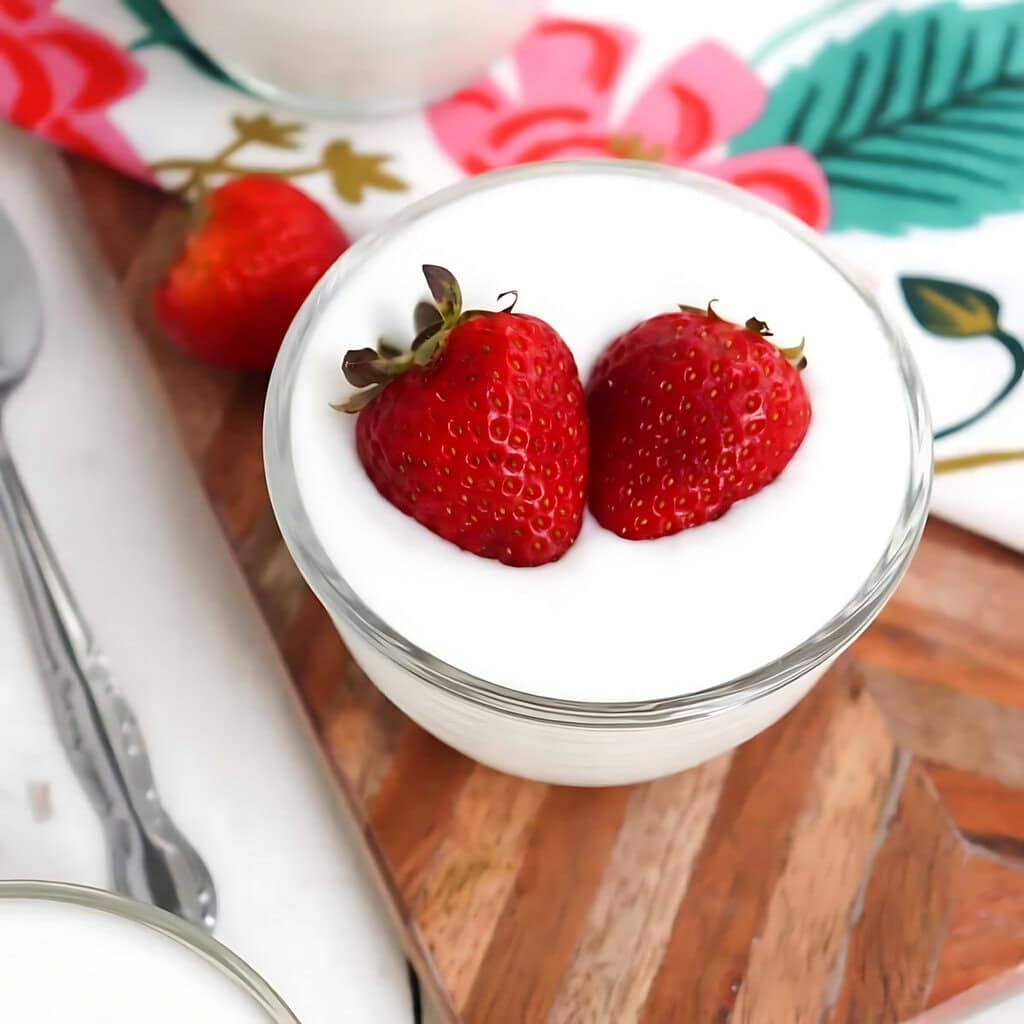 Ninja Foodi Yogurt Homemade Plain Yogurt