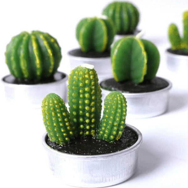 6-Piece Cactus Tea Light Candles