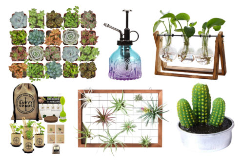 Gifts For Plant Lovers - Perfect Presents For Every Plant Parent