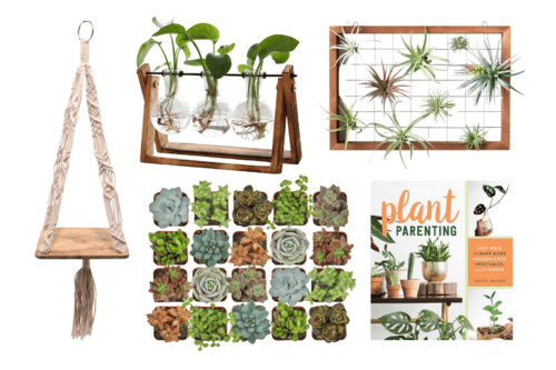 Gifts for Plant Lovers Perfect Presents for Every Plant Parent