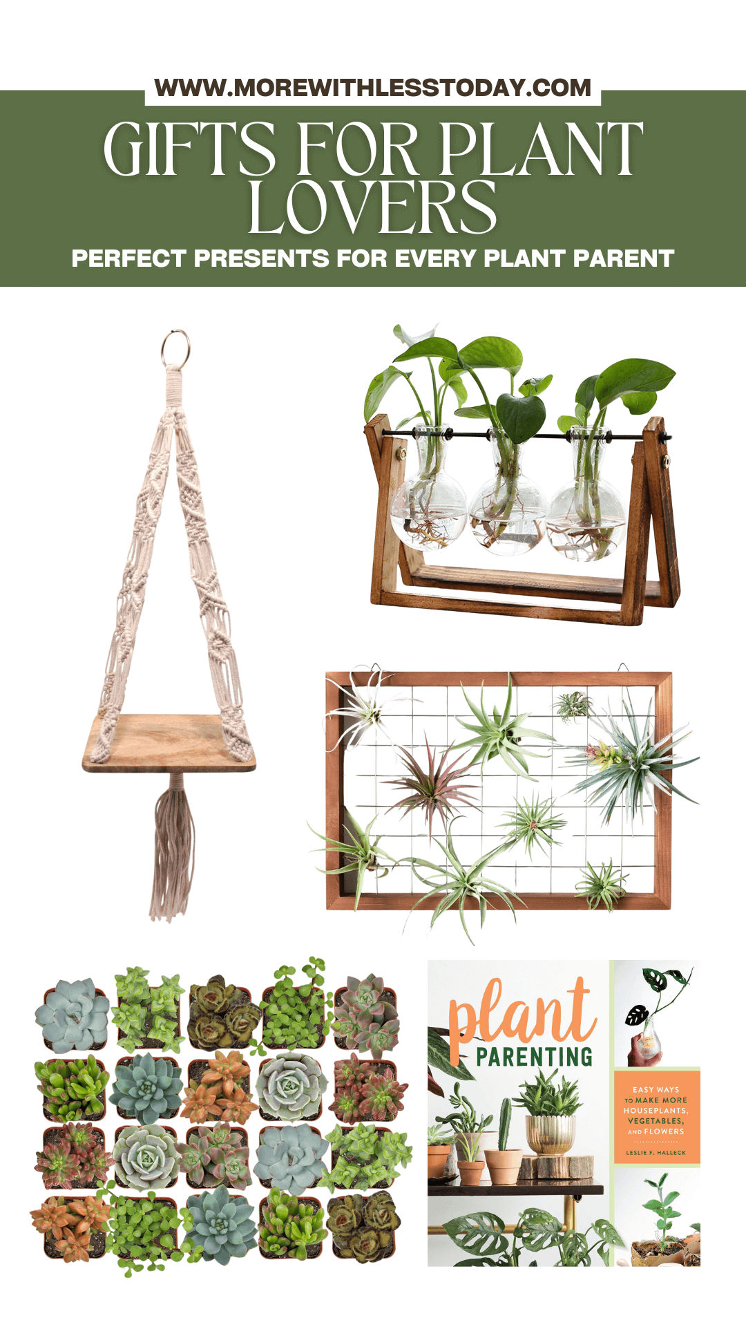 Gifts for Plant Lovers Perfect Presents for Every Plant Parent - PIN