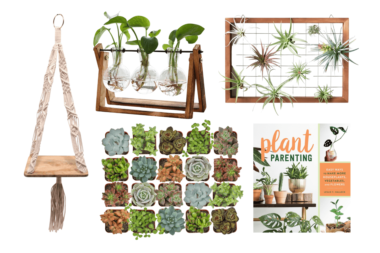 Gifts for Plant Lovers Perfect Presents for Every Plant Parent