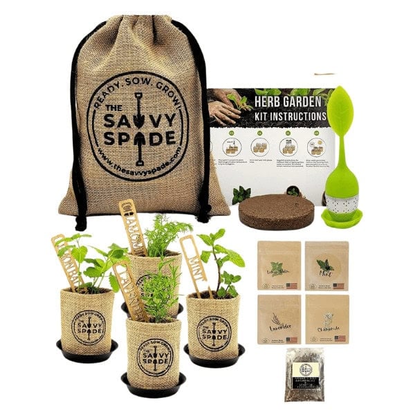 Indoor Tea Seeds Herb Garden Kit - Gifts for Plant Lovers Perfect Presents for Every Plant Parent