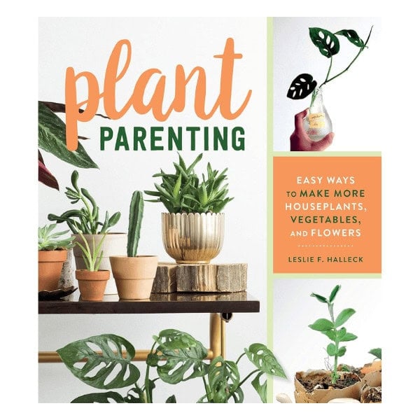 Plant Parenting - Easy Ways to Make More Houseplants, Vegetables, and Flowers