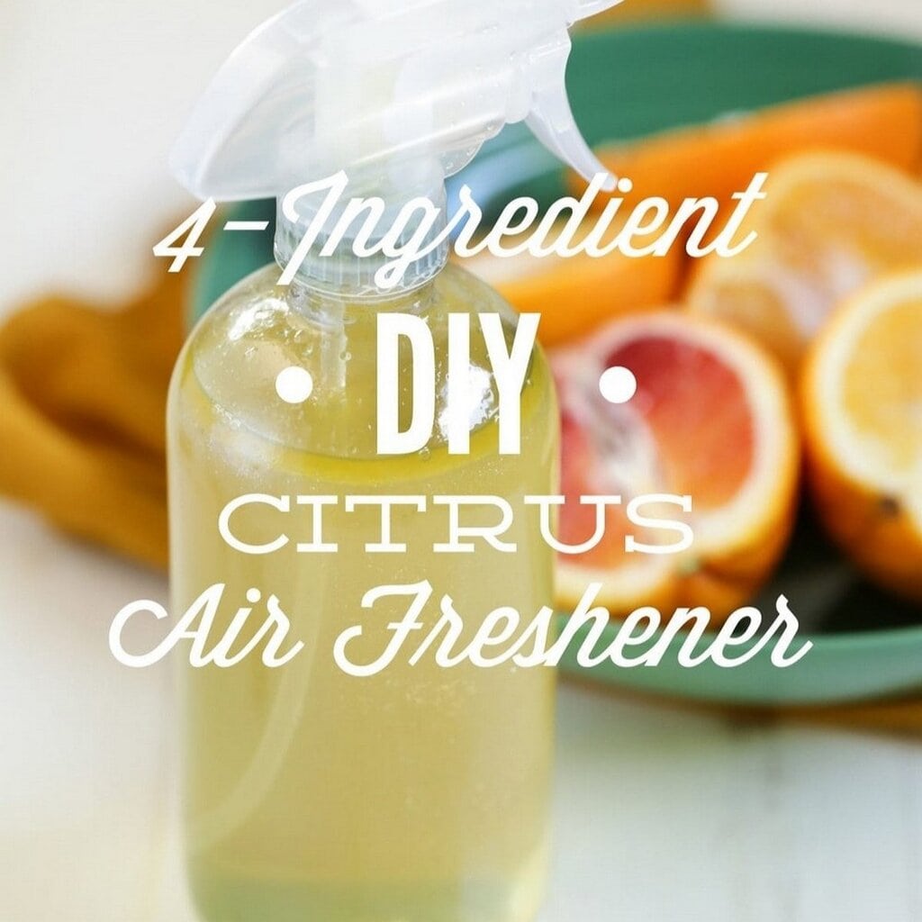 4 Ingredient Diy Citrus Air Freshener 4 Ingredient Diy Citrus Air Freshener
