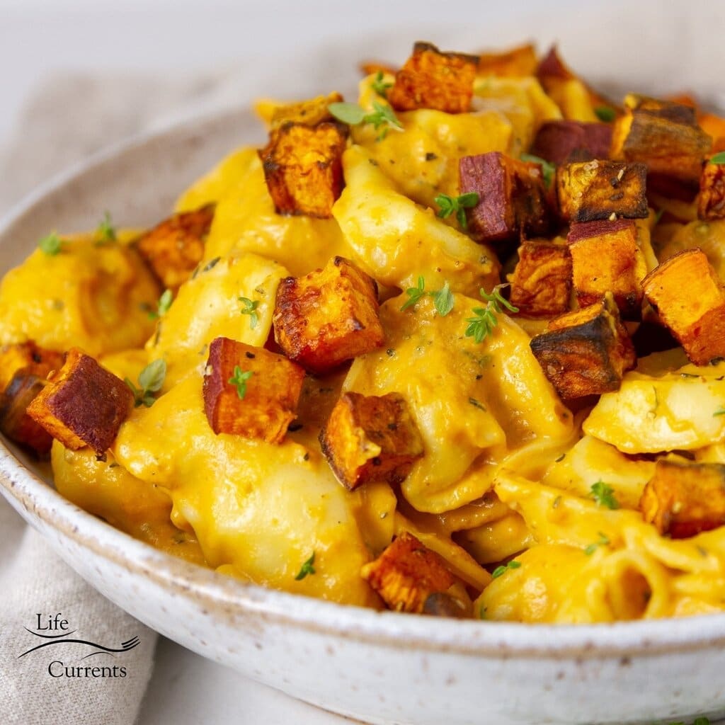 Cheese Tortellini In Pumpkin Gorgonzola Sauce